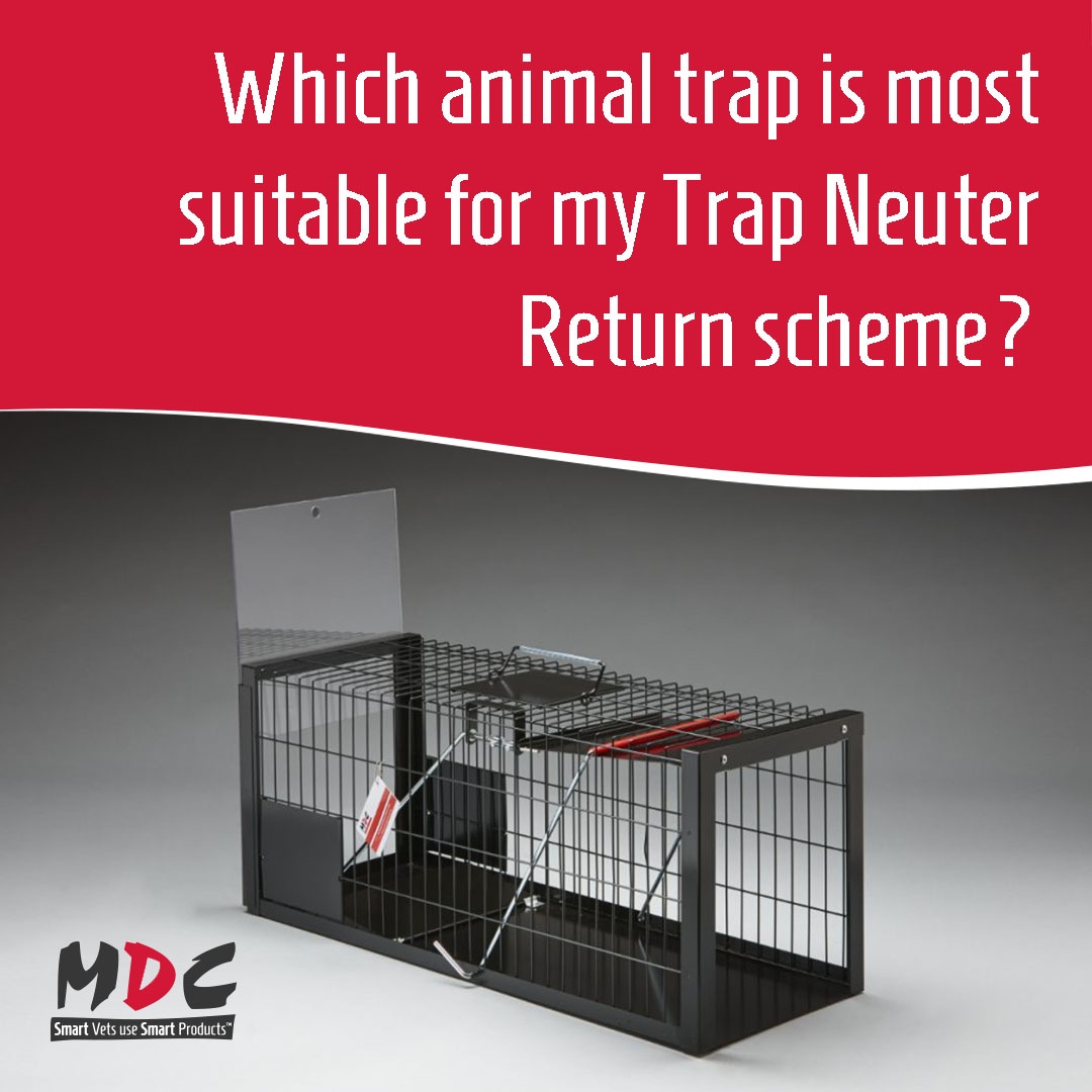 Not sure which trap will be most suitable for your Trap Neuter Return programme? Check out our trap comparison guide &gt; mdcexports.co.uk/trap-comparison

#tnr #cattrap #animalcontrol #vet