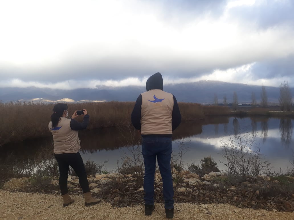 Toyourna | طيورنا tweet media