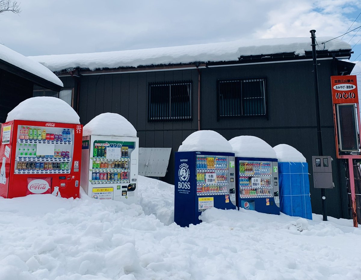 Sharla✨ tweet media