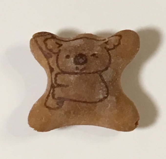 コアラのイラストのtwitterイラスト検索結果 コアラのイラストのtwitterイラスト検索結果