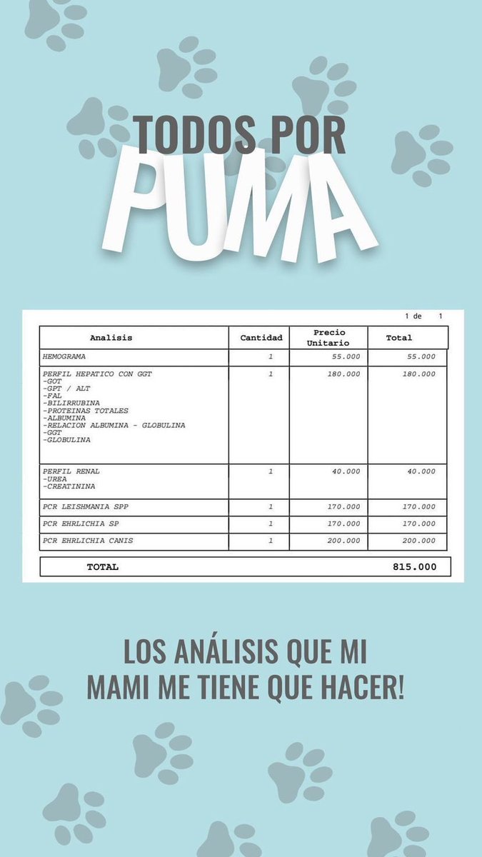 nachomasulli's tweet photo. Para los que puedan dar una mano a Puma🙏🏼🥺❤️ https://t.co/z6jOelz0ex