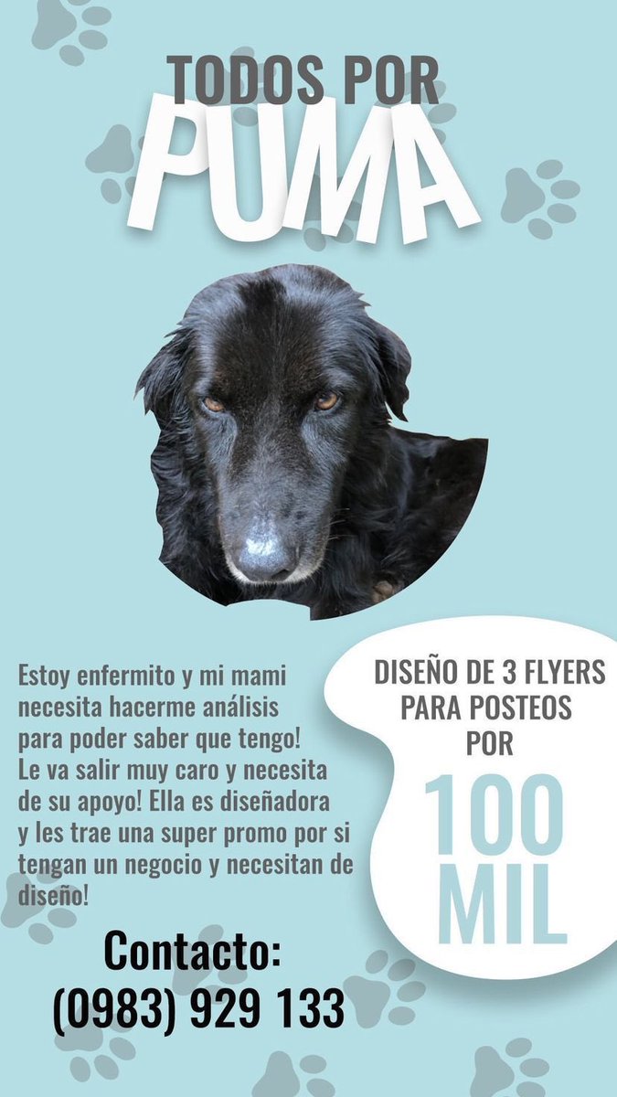 nachomasulli's tweet photo. Para los que puedan dar una mano a Puma🙏🏼🥺❤️ https://t.co/z6jOelz0ex