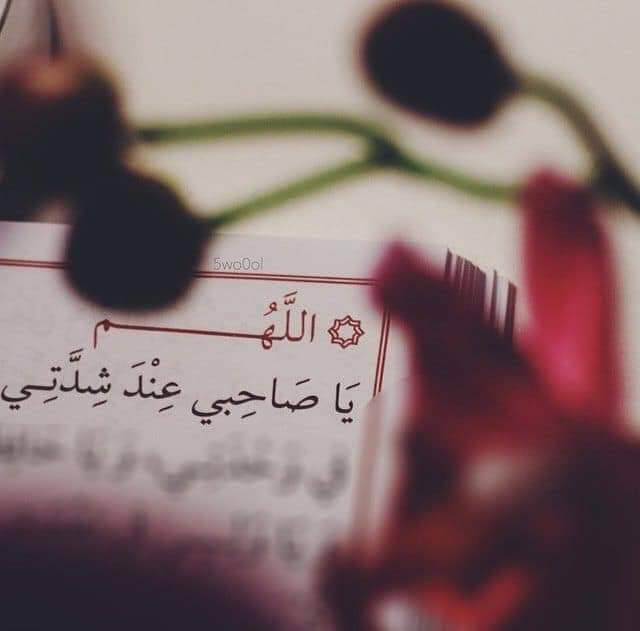 ‏✺ وسام الزيدي tweet media