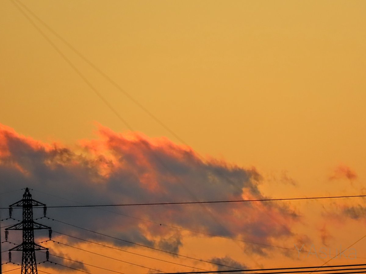 yumeasutw's tweet photo. オレンジに焼けました💛

お疲れ様です🏁
吹き荒れた北風が止んだ #夕暮れ 🌆
西はオレンジに
東は桃色の #ビーナスベルト と
#地球影 が #夕空 を彩ります。

#空の名前
#雲の教室
#天気の図鑑 #雲友
#マジックアワー #薄明
#ブルーモーメント
#夕焼け #鉄塔 #電柱 #電線
#a2022 #a0104 #a202201 https://t.co/V8eHTwNk7v