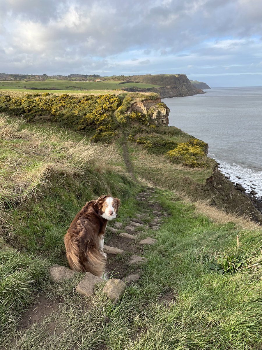 You, me & the sea 🌊 Yesterday’s dreamy walk along part of the @ClevelandWayNT between Cloughton & Hayburn Wyke. Absolutely stunning 😍