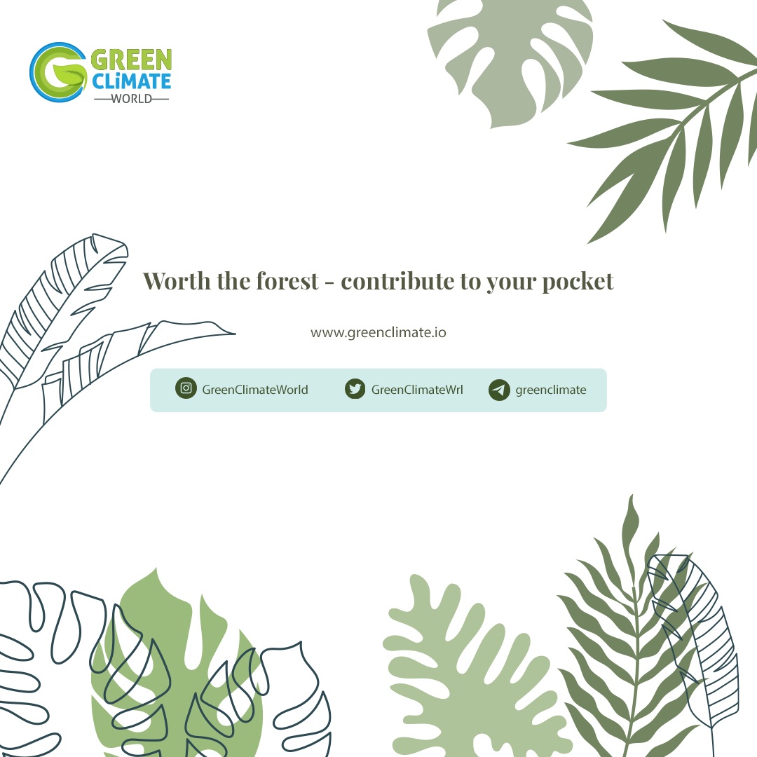 linktr.ee/greenclimate 🌱🌲🌍

#nature #green #climate #world #naturelovers #project #blockchain #cryptocurrency #life #WGC #WGCToken #greenclimateworld #plant #tree