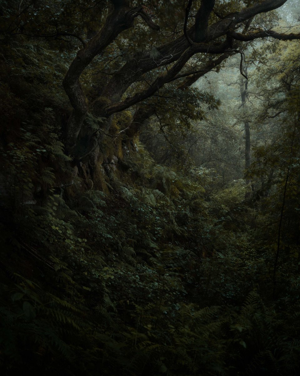 Goblins retreat 
.
#landscapephotography #fujifilm <a href="/FujifilmUK/">FUJIFILM UK & Ireland</a>