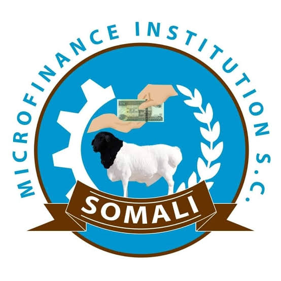 TeddyTassewK's tweet photo. Somali Microfinance, Most known for its #HelloCash mobile money product is set to become Shabelle Bank.
This follows recent trend of Transition from MFI to Bank
- Amhara credit & saving ➡️ Tsedey Bank
- Oromia Credit & saving ➡️ Sinqe Bank
#BanksinET #Ethiopia https://t.co/Y57jpn4YXt