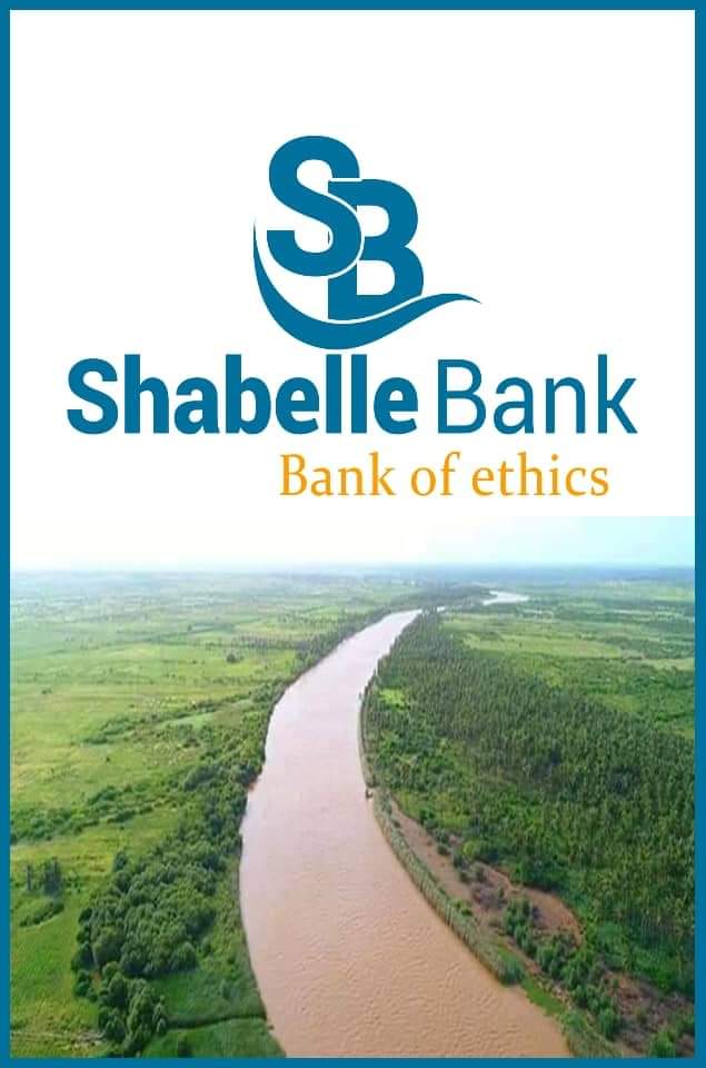 TeddyTassewK's tweet photo. Somali Microfinance, Most known for its #HelloCash mobile money product is set to become Shabelle Bank.
This follows recent trend of Transition from MFI to Bank
- Amhara credit & saving ➡️ Tsedey Bank
- Oromia Credit & saving ➡️ Sinqe Bank
#BanksinET #Ethiopia https://t.co/Y57jpn4YXt