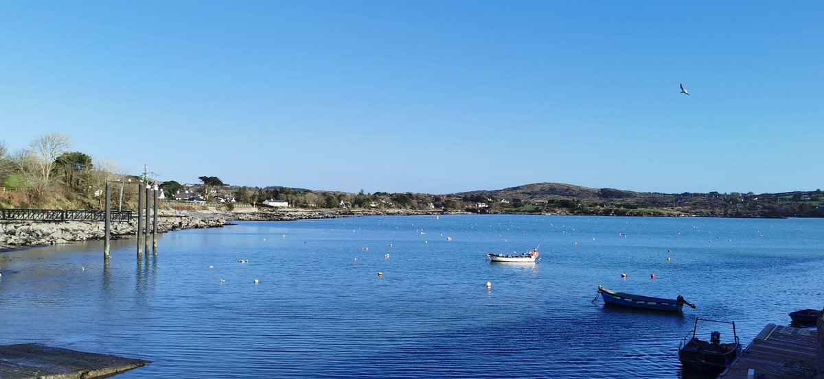 ais_odriscoll's tweet image. January not looking too shabby ☀️

Now, off to get boosted ✨

#Schull #westcork #wildatlanticway #WeGetToCallThisHome ❤️