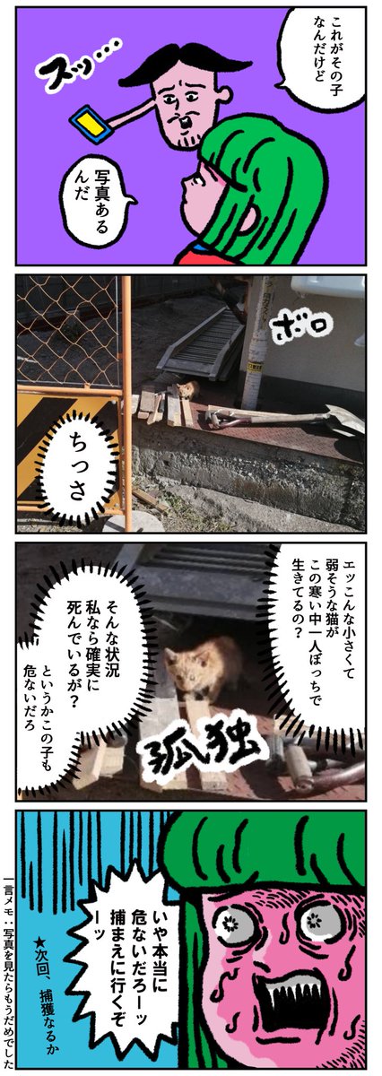 ひとりぼっちの子猫を捕まえる話① 