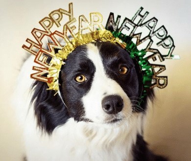 Student2Student THS (@troyhighs2s) on Twitter photo 