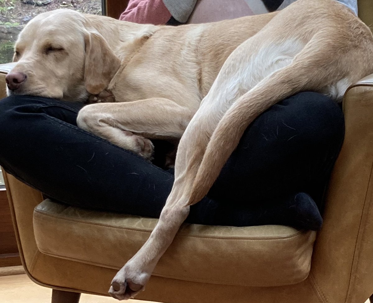 Feeling exhausted after the festivities? Treat yourself to Sunday lunch at Sailor V. We are taking reservations 🙂