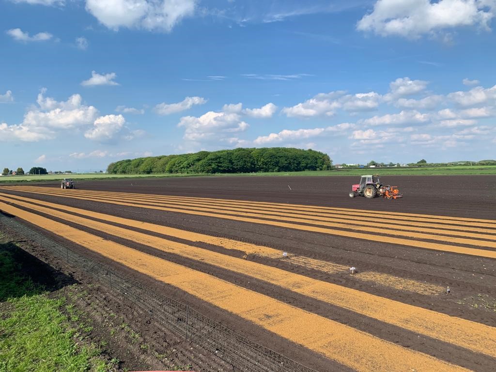 Sowing our first crop of sitka in May 2021. <a href="/LiamCupit/">Liam Cupit</a> <a href="/WillRimmer1/">Will_Rimmer</a>