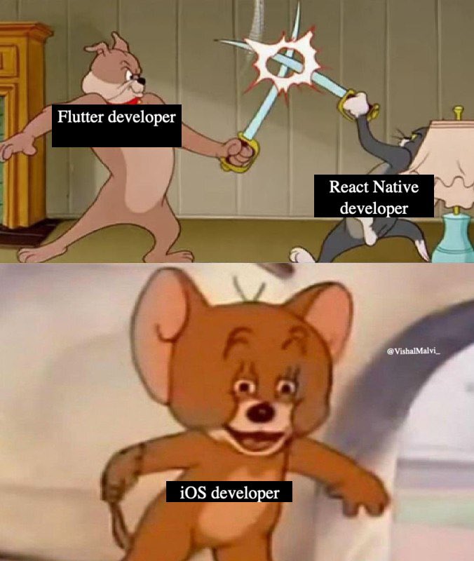 Flutter developer: I make a better iOS app than you.

React native developer: No, I make a better iOS app than you.

iOS developer: Guys, Seriously?