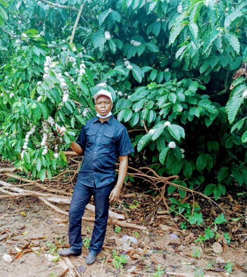 omadilu's tweet photo. Nous avons parcouru près de 800 km à travers la province du SUD-UBANGI , un constat qui est général : des milliers de champs du café à l'abandon. Autrefois principale source  de richesse,il faut un vaste programme national pour sa  relance et l'ANAPEX a été dotée de cette mission https://t.co/c3cb2JuSzI