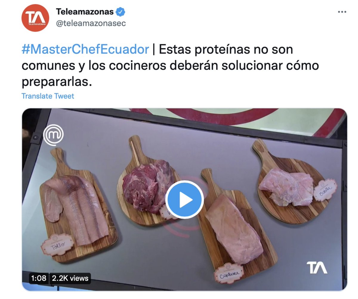 Que triste ver a <a href="/teleamazonasec/">Teleamazonas</a> #MasterChefEcuador normalizando/promoviendo el consumo de carne de fauna silvestre: venado, capibara y caimán
Su cacería y comercialización están prohibidos 
@Ambiente_Ec