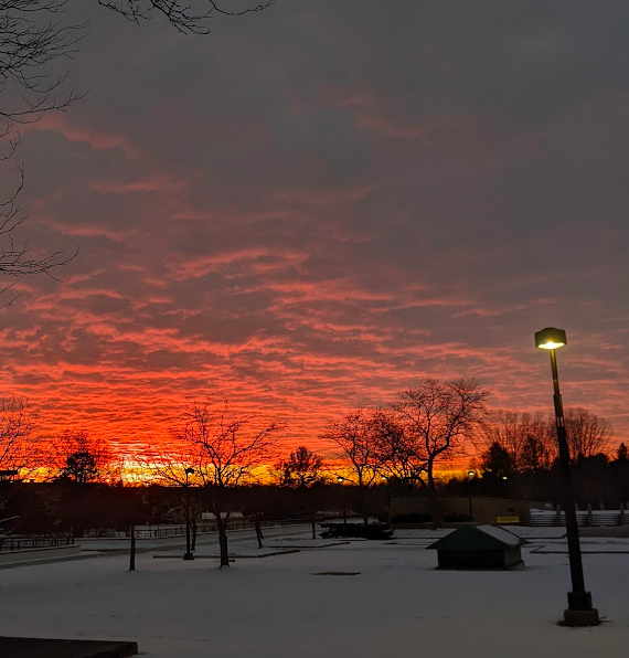 Dr. Dan Meinhardt, Curator of the Richter Natural History Museum, was recently interviewed by Wisconsin's Poet Laureate Dasha Kelly Hamilton. You can see the news article and access Dasha's "A Line Meant" podcast here: news.uwgb.edu/phlash/faculty…
