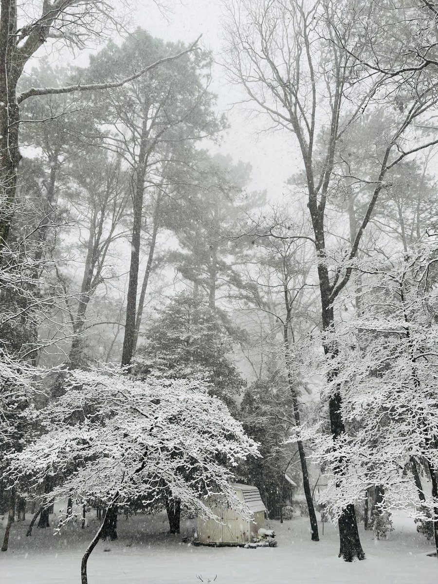 kheringPE's tweet photo. @wboc It’s a Winter Wonderland in Nottingham Woods ❄️⛄️ https://t.co/naJYQY5IH2