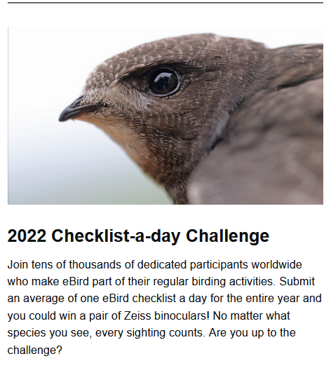 hnlousa's tweet photo. Game's on!
2022 checklist-a-day challenge on #ebird.
Likely achievable by #lowcarbonbirding on your walk around the block. https://t.co/olZ3tDhAgo