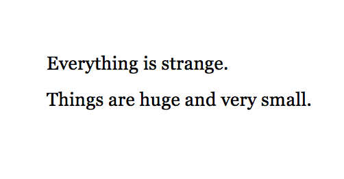 MayaCPopa's tweet photo. Good morning, Virginia Woolf: https://t.co/pzjCfZII1L
