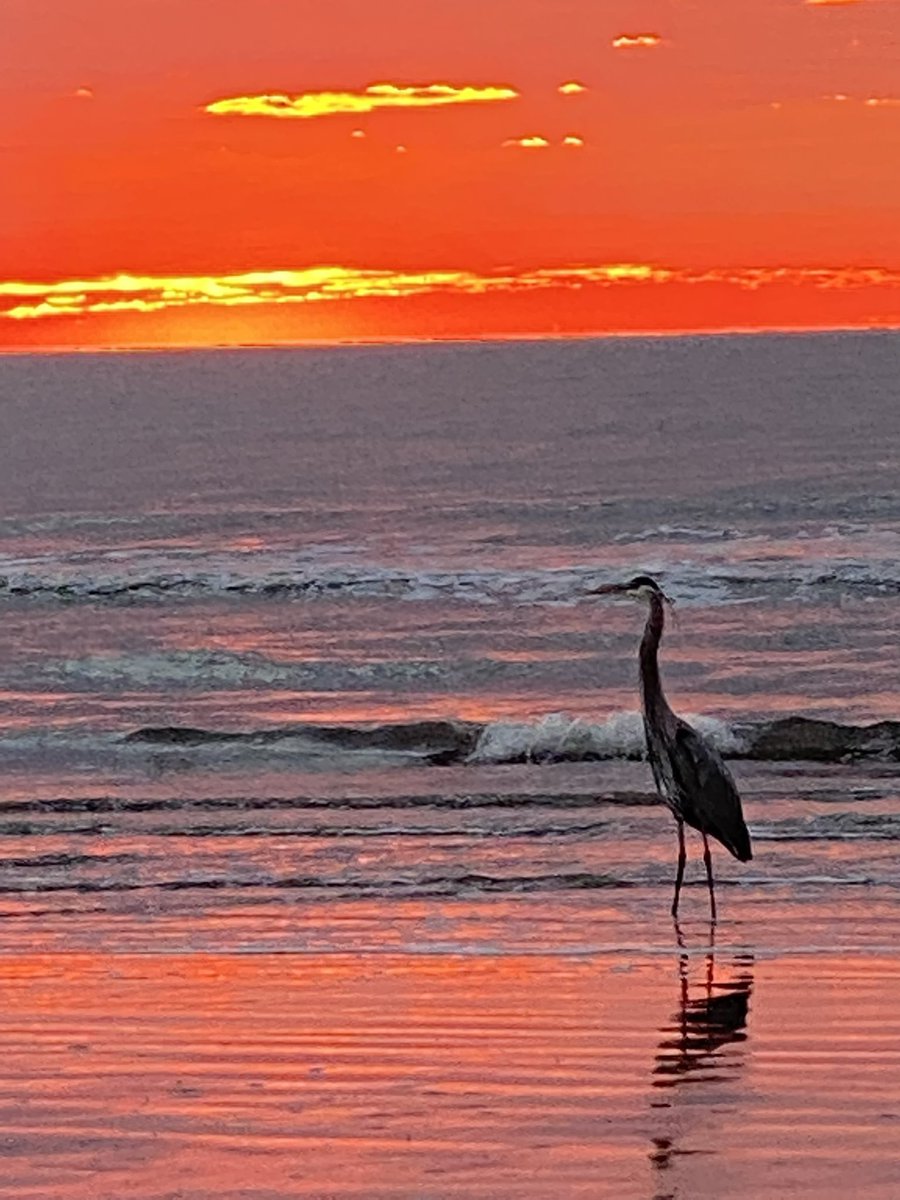 Good morning #Galveston