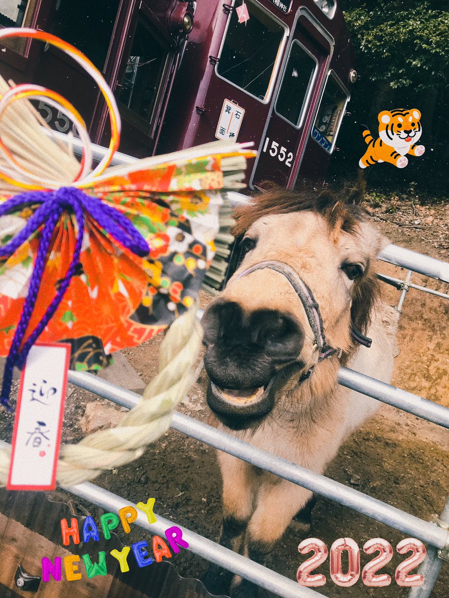 Cosmos_Samurai's tweet photo. 2022🐯

#吉川八幡神社 
#御神馬いづめ 
#御神馬
#いづたん
#YoshikawaHachimanShrine
#SacredHorse
#horse
#合戦馬
#木曽馬
#happy
#love
#smile
#laugh
#2022
#NewYear
#newyears https://t.co/iJVTs483ZU