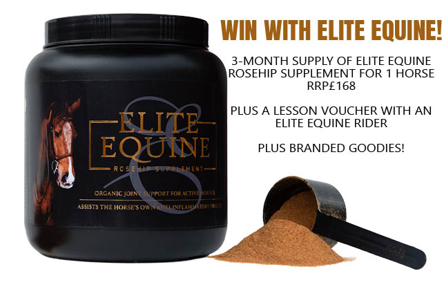 WIN WITH ELITE EQUINE!! Latest competition now live on our homepage! Be sure to enter and also check out this great product on their social pages too! @EliteEquineUK1 equestrianindex.com/#competition