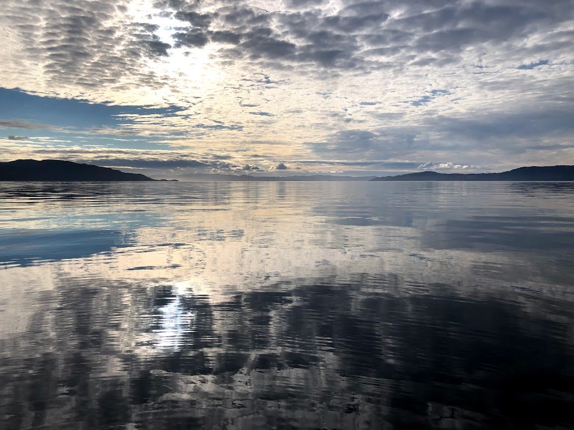 FisheriesRobert's tweet image. January is CV month.. reformatting and updating these docs and working with students to build their academic CVs. What are your best tips for academic CVs? Sections, order, text vs bullet points, short text, length, etc.