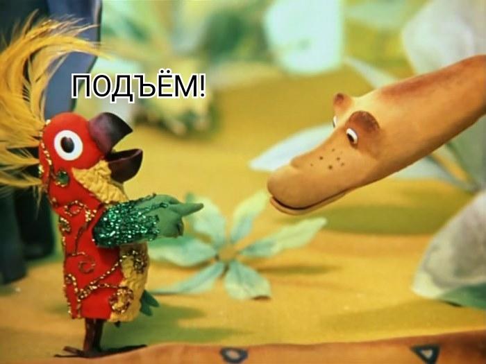 Ушастый герой мультфильма 38. 38 Попугаев мультфильм. 38 Попугаев попугай. Герои мультика 38 попугаев. Попугай мультик 38 попугаев.
