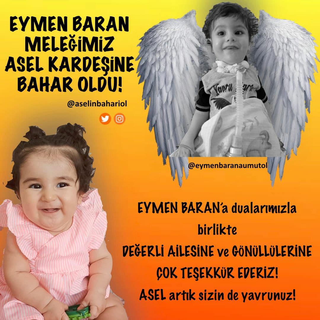 EUmutol's tweet photo. Melegimizin valilik hesabindaki para Asel bebeğimizin hesabına aktarıldı. Lütfen Asel için baharolalim🙏 #SizeAKPyiAnlatayım #EnginAkyuerek #GalatasarayaOperasyonVar #eceuener #ghezzal #marlboro #2021KpssAtamaBekliyor #PalavrayaDoyduk #Delmicron #UElkeyiKimKapattıErdoğan https://t.co/lqKG5R04VY