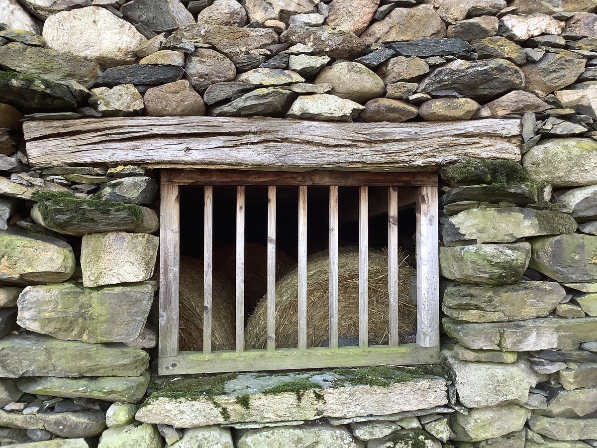 ceadela's tweet photo. A #nicebarn for @WindowsLake https://t.co/bFCoec7IB2