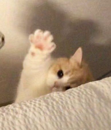 ؘ (@jjunnicat) on Twitter photo 