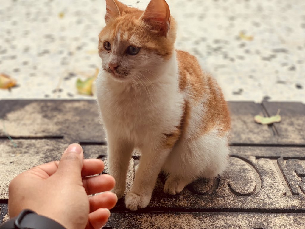 so0ma_e's tweet photo. 📲🥺❤️ https://t.co/36H0L1DM4X