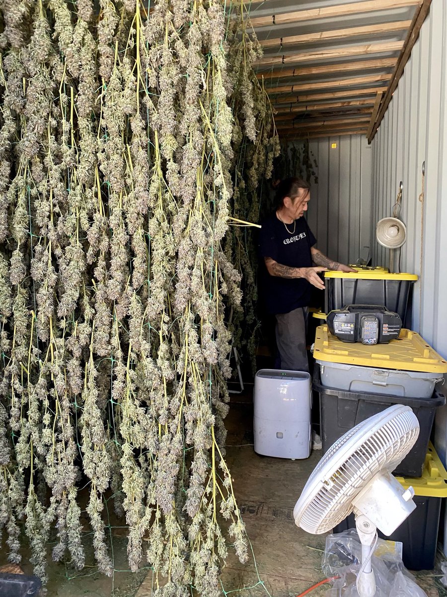 Jackie Chain tweet media