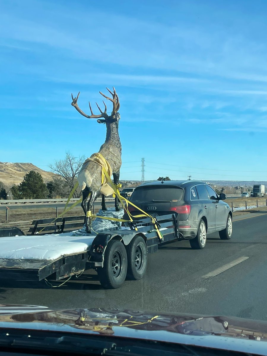 predaina's tweet photo. #HeyNext the most Colorado thing I saw today, on I-70. @9news @KyleClark #heynext #mostcoloradothing #themostcoloradothing https://t.co/AQ49iel4js