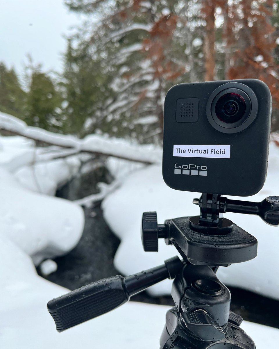 Sagehen Creek (@sagehencreekfs) on Twitter photo Today we took two 360 videos for the <a href="/OBFSFieldBio/">OBFS Tweets</a> #VirtualField360 Project!
We’re excited to make more (one per season) so folks can access the glory of Sagehen from the comfort of their own homes 🏡🌲✨
#sagehencreek #ucnrs #fieldstation #researchstation #biodtstion #gopro Today we took two 360 videos for the <a href="/OBFSFieldBio/">OBFS Tweets</a> #VirtualField360 Project!
We’re excited to make more (one per season) so folks can access the glory of Sagehen from the comfort of their own homes 🏡🌲✨
#sagehencreek #ucnrs #fieldstation #researchstation #biodtstion #gopro