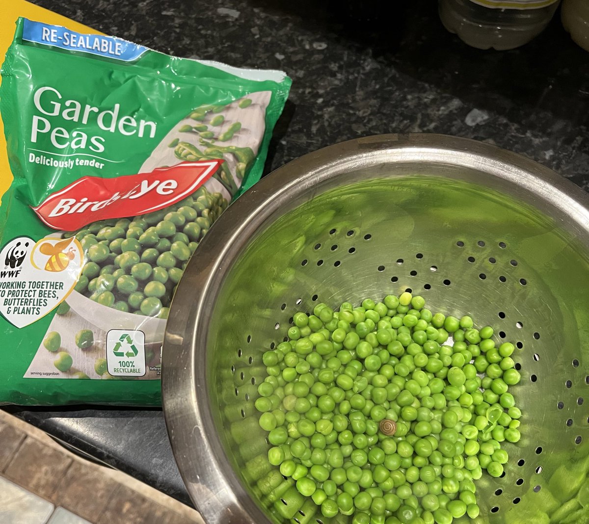 NatalieAxX's tweet photo. First @BirdsEyeUK froze them, and now I have to live with the guilt that I accidentally boiled them. RIP to this snail https://t.co/2VUGZEd2ZL