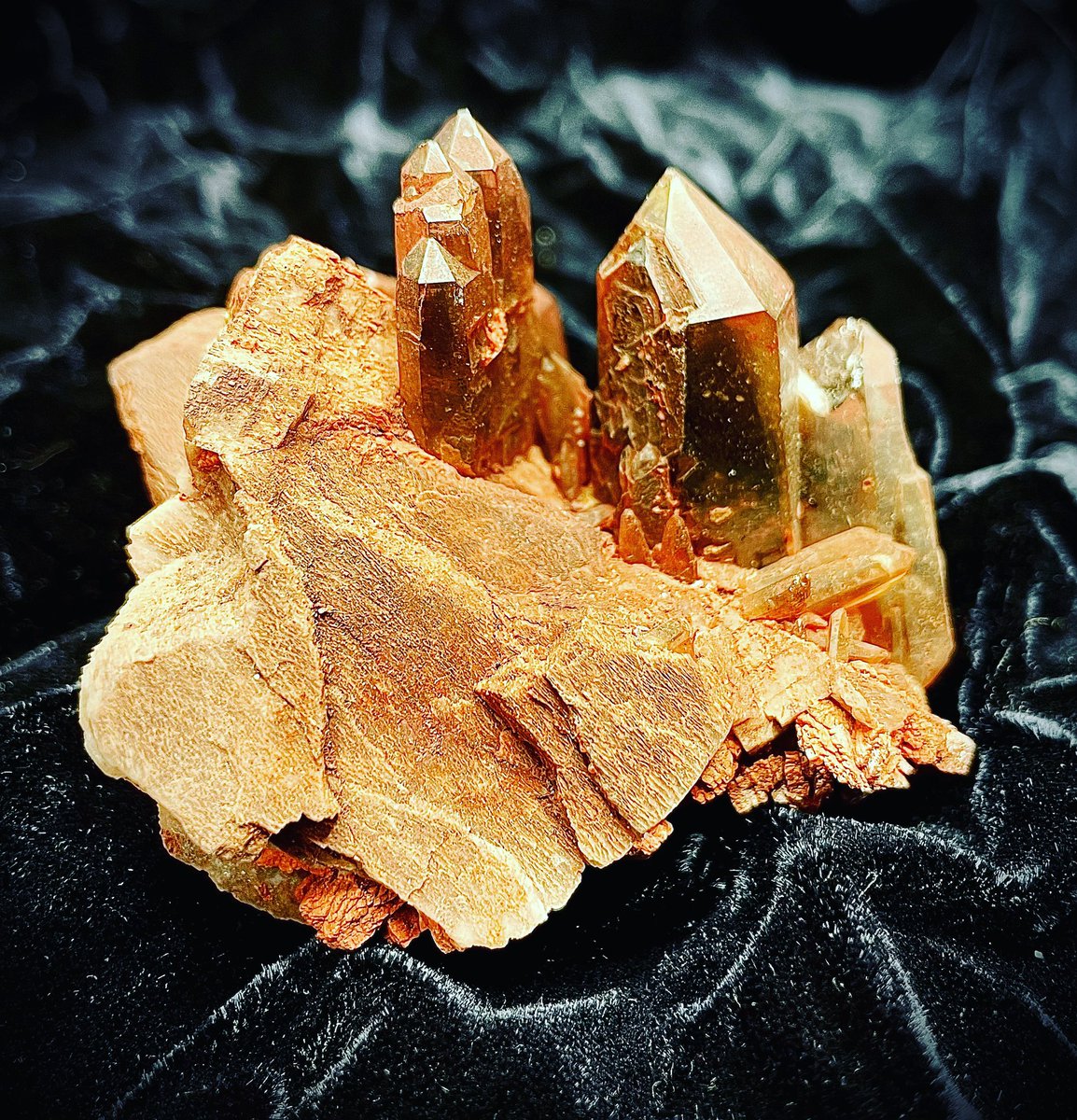 Weis Earth Science Museum tweet media