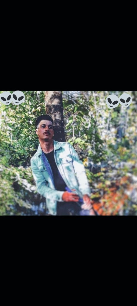 Bis jetzt sind sie noch nicht gelandet. Stattdessen kreisen sie am Himmel herum und werden dabei hin und wieder beobachtet. So wie von Ihnen. Was haben Sie gesehen?