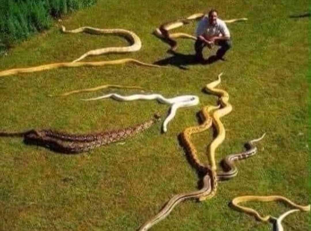 احنا كلنا حوليك ونحب لك الخير*

=كلهم