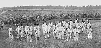 PJenkins1933's tweet photo. @Omcgill1 @actifymg_rr @Marcel4Congress Socialists are hell bent of denying the economic oppression of ADOS because they want to view economic oppression as being only about class
ADOS history runs counter of American socialist ideology
👇🏿
third photo is children that were convict leased
#ChainGangs #JimCrow https://t.co/hankQfzPgn