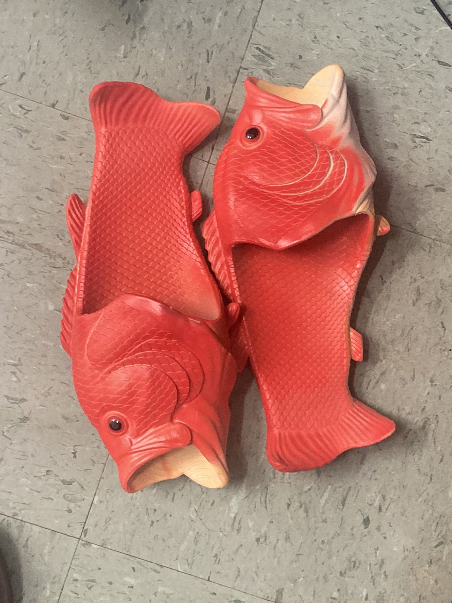 RussSolis79's tweet photo. Random things I find inspecting rooms #FishFlipFlops #SuiteLife https://t.co/g4JQUSiWBa