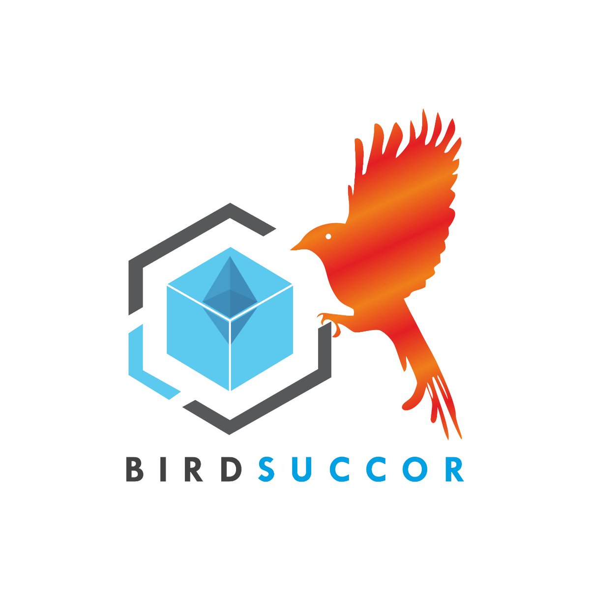BirdSuccor's tweet photo. #NewProfilePic https://t.co/XROK02B9Tf