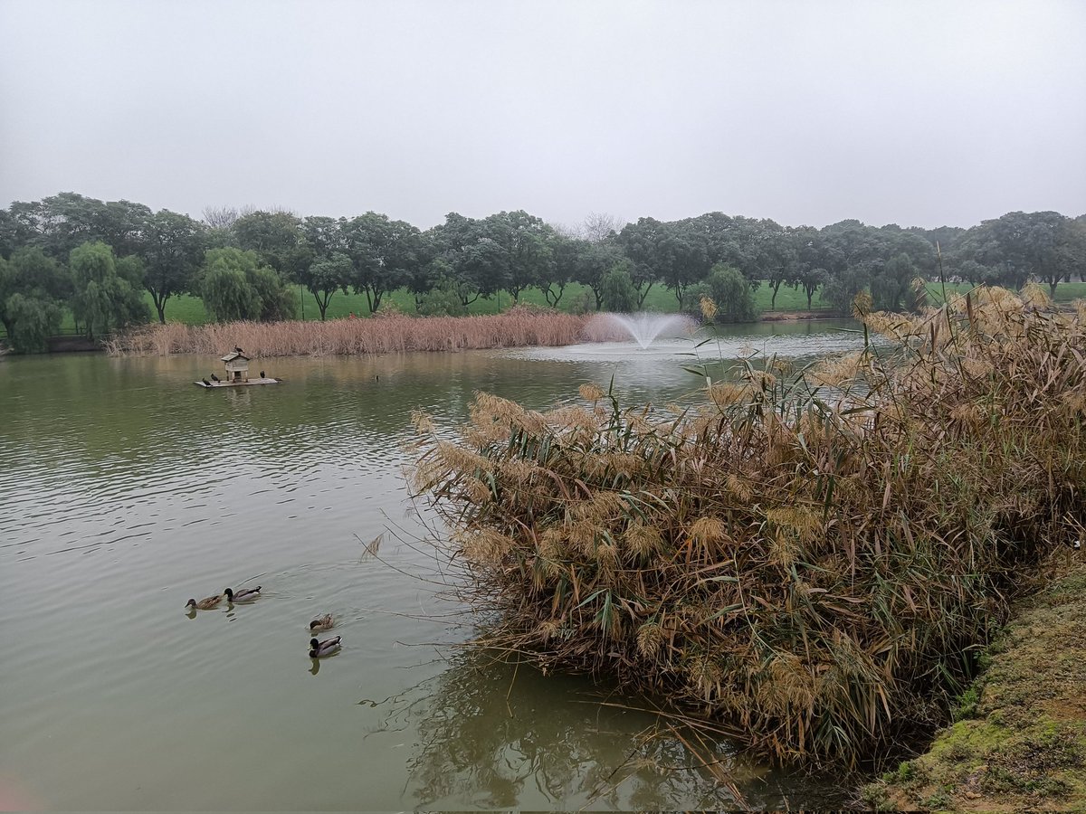 ERamirezFlores's tweet photo. Parque de Miraflores. #Sevilla https://t.co/XfMrA6vvIT