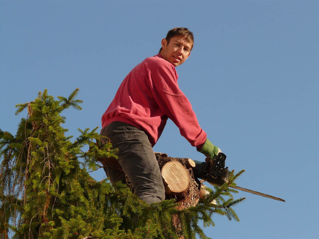 AffordableAn's tweet photo. Regular tree trimming ensures that all dead or rotten branches are removed, which not only keeps the tree healthy but also prevents those branches from falling and causing damage to your property or injury to your family! #24HourTreeService #Arborist https://t.co/QDZTRnumlg https://t.co/k4G2b3zu2d