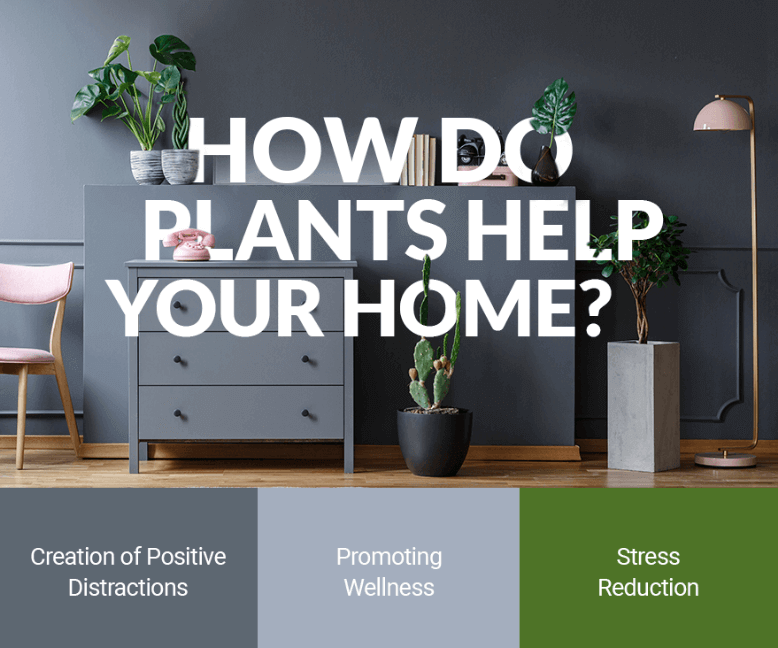 mikereppy's tweet photo. Small adjustments can make a world of difference inside and outside the home. #MikeReppy #RealEstate #SunCityWest #Realtor #FirstTimeHomeBuye https://t.co/SMUJsPFGwu