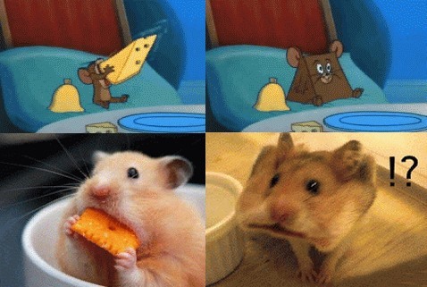 tryrecordhk's tweet photo. I always thought that cartoons are deceptive, until...
一直以為卡通都是騙人的,一直到.....
私はいつも漫画は...までだまされていると思っていました
#卡通 #cartoon #倉鼠 #hamster #99opening #opening https://t.co/iTtQWXoQuh