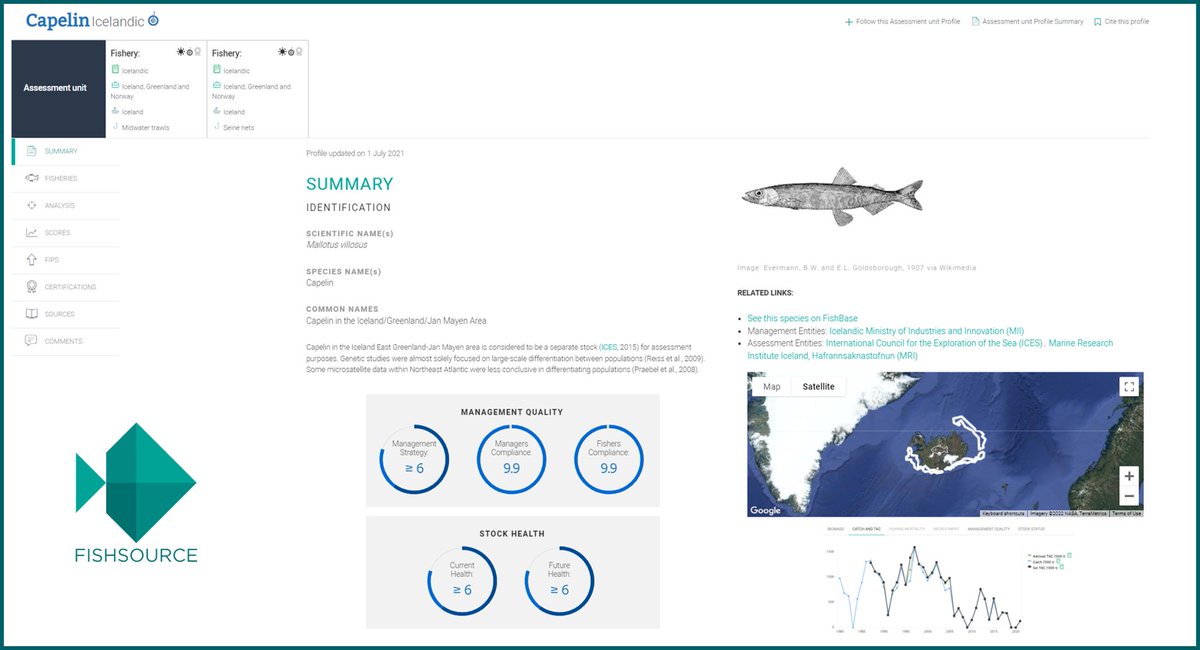 In case you missed it: Here is our update from mid-2021 on Capelin - Icelandic stock, with two major fishing gears fished by Iceland fishsource.org/stock_page/752