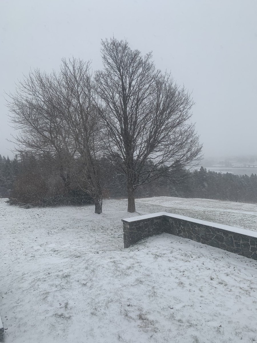 pippy_park's tweet photo. Beautiful snowy day in the Park. #pippyparknl #explorenl #atlanticcanada #eastcoastcanada #stjohnscaptured #stjohnsnewfoundland #snow #snowing #stjohns #parklife https://t.co/1thqtWJIkZ